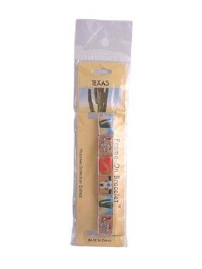 Bracelet Charm Texas Frame On Steer Cactus State Snake